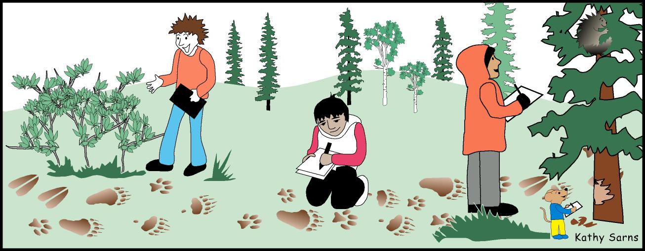 Kids exploring an area with wildlife tracks and other wildlife sign