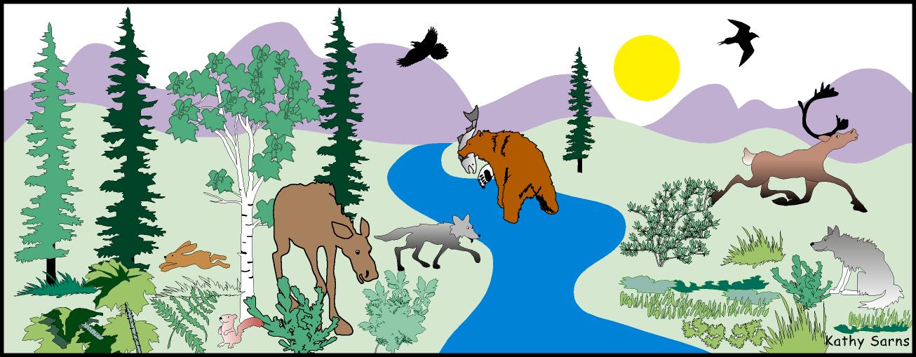boreal forest animals